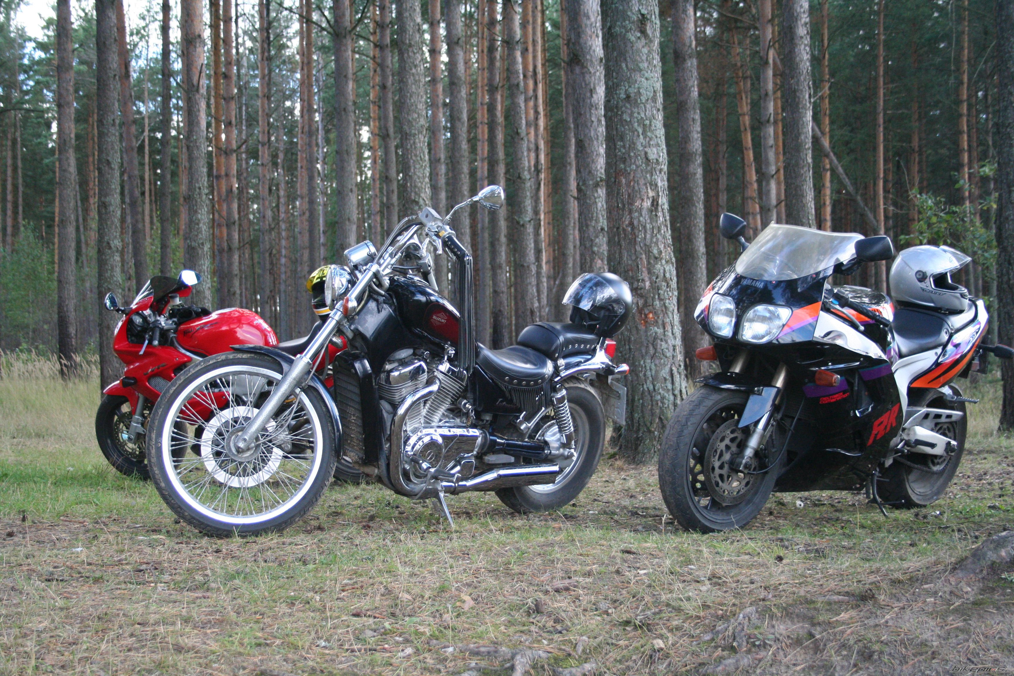 Photo 1555079