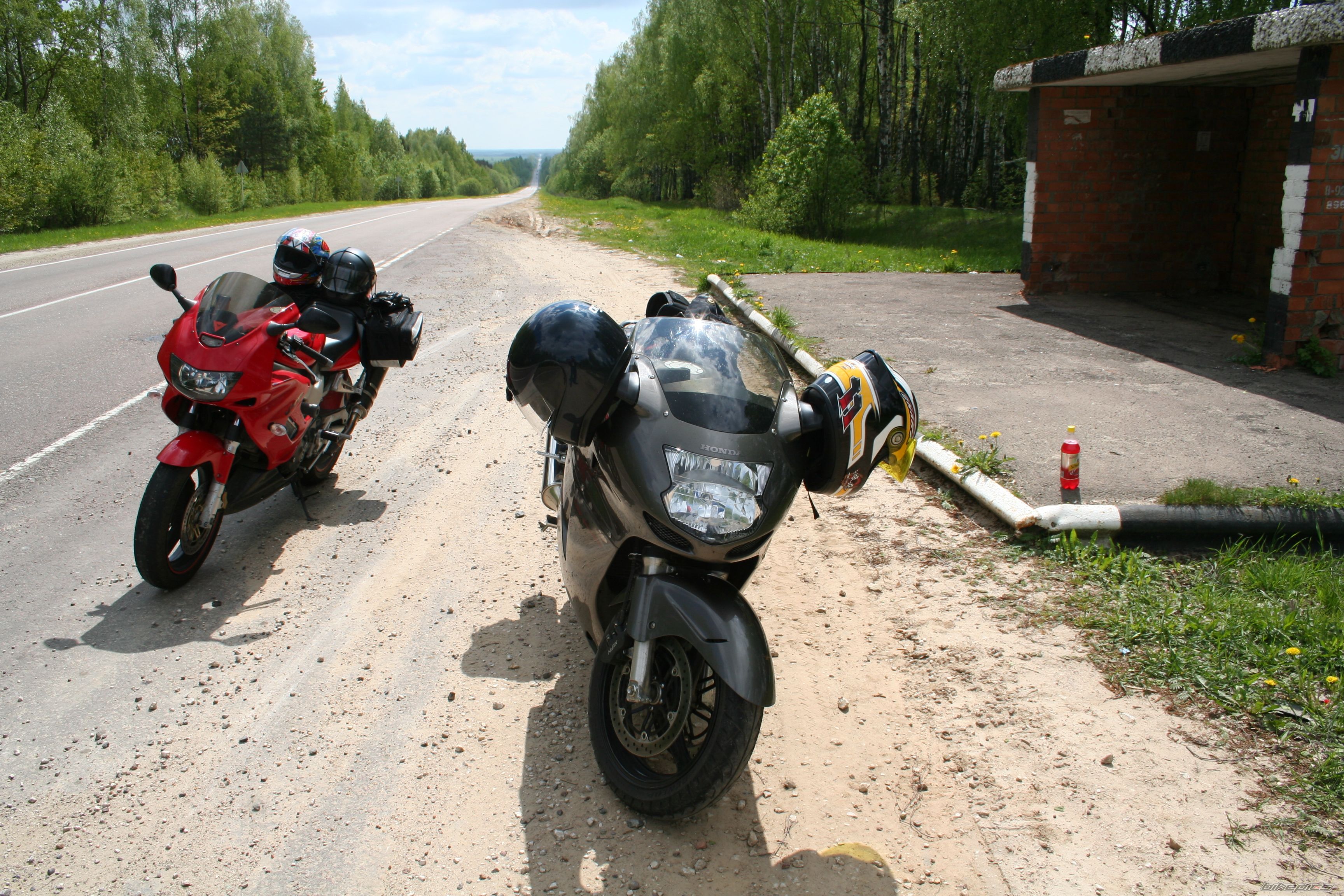 Photo 1555081