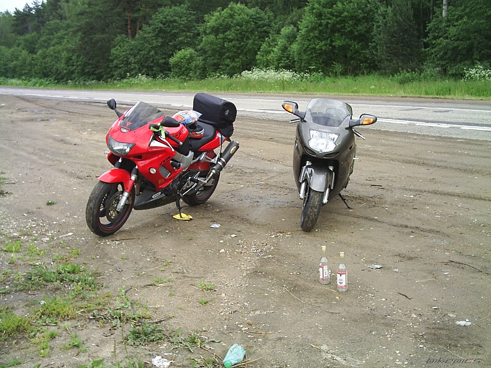 Photo 1555082