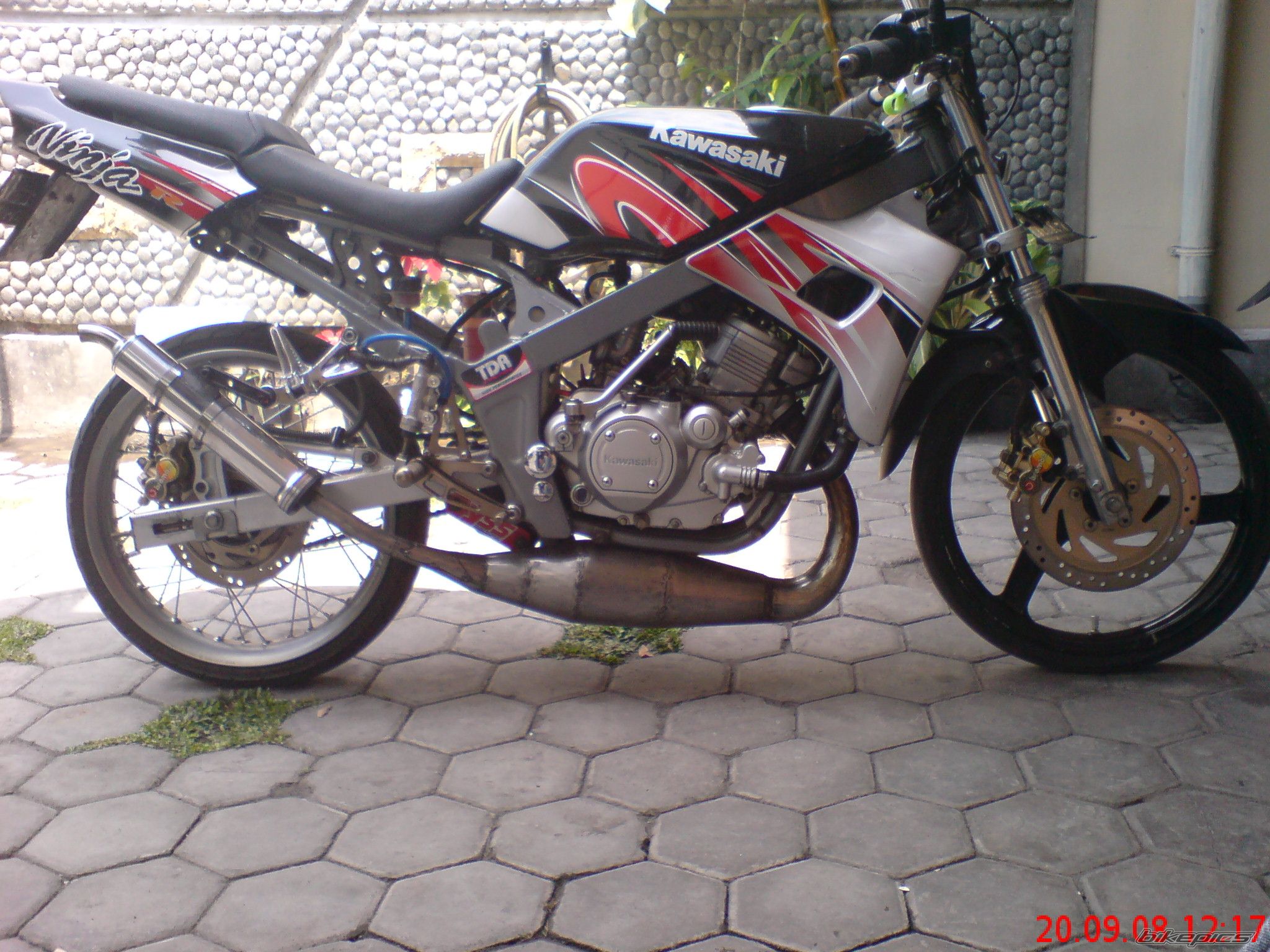 Photo 1555091