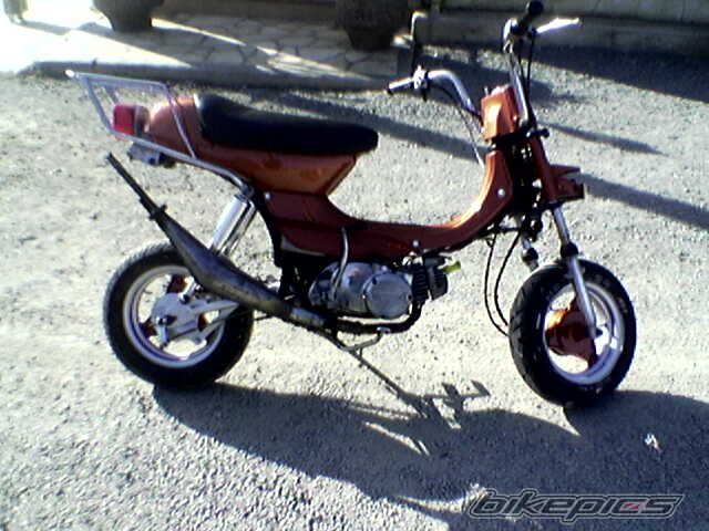 Photo 1555107