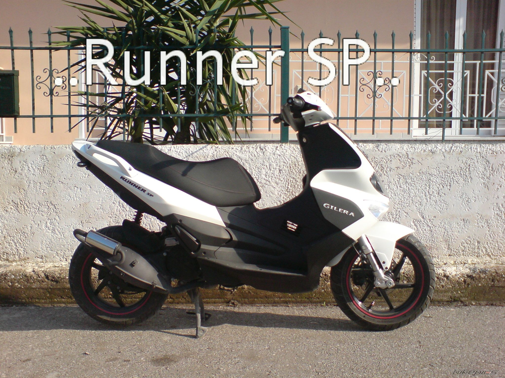 Photo 1555123