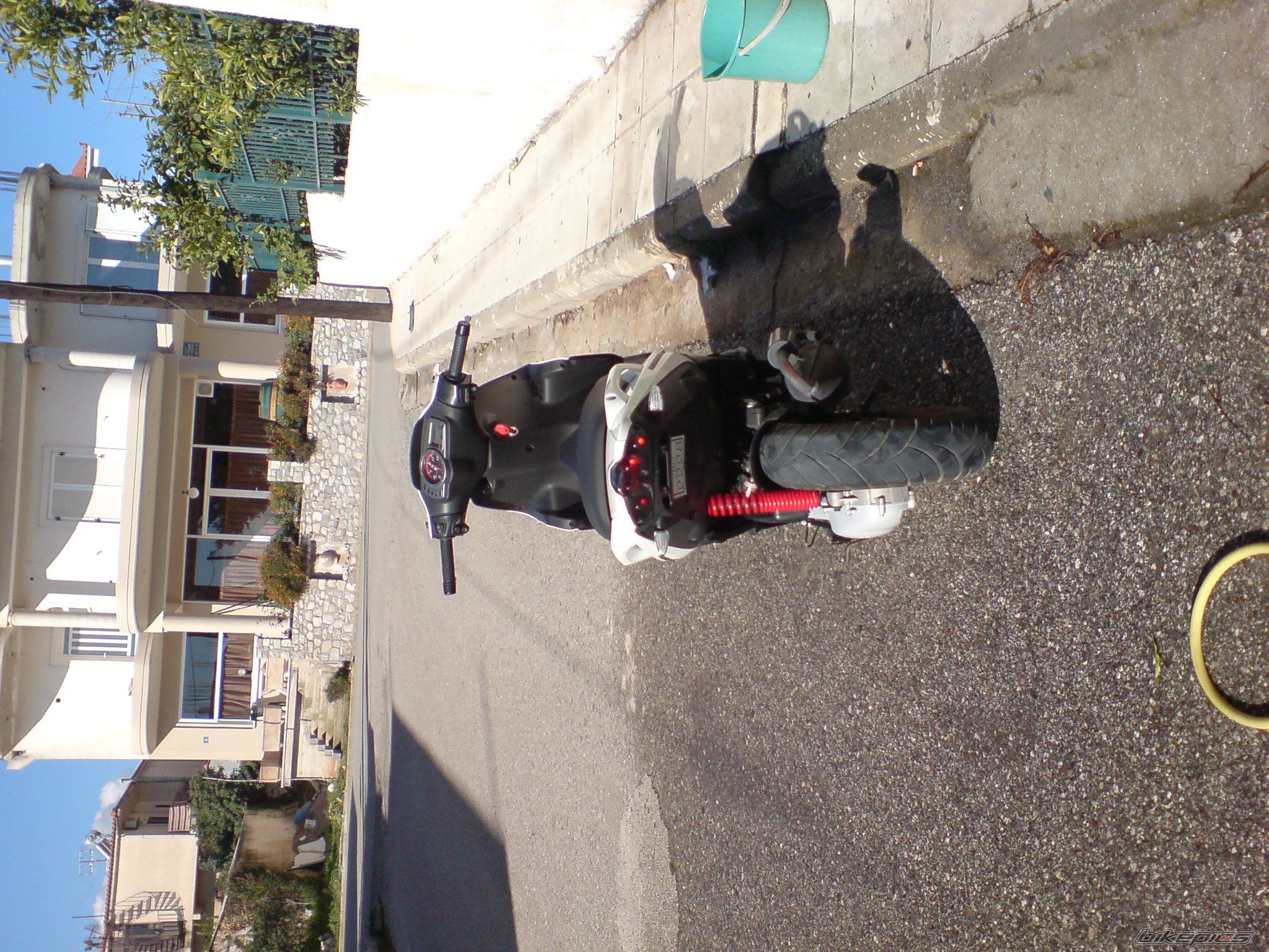 Photo 1555124