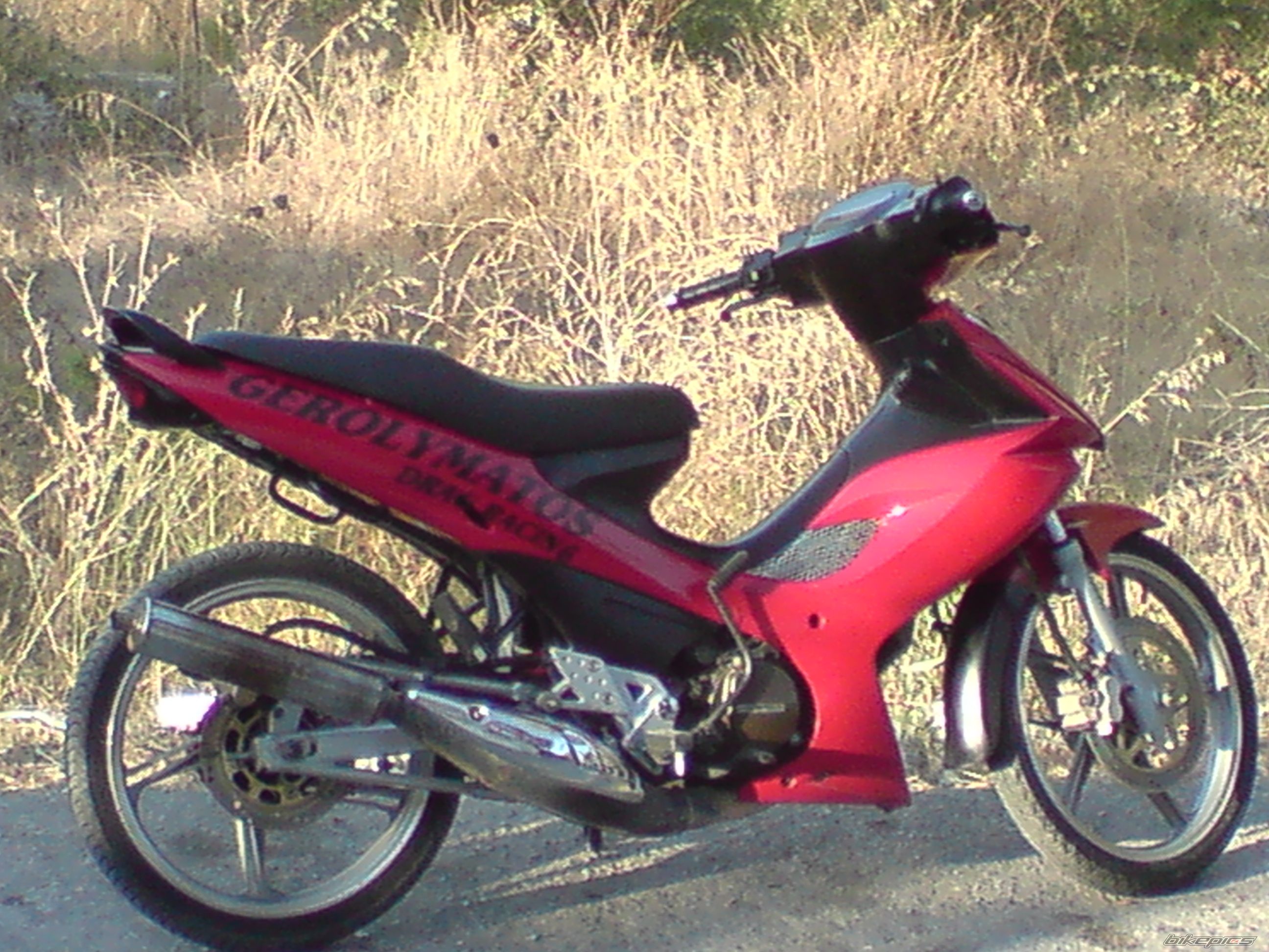 Photo 1555125