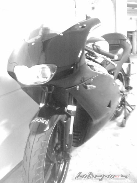 Photo 1555130