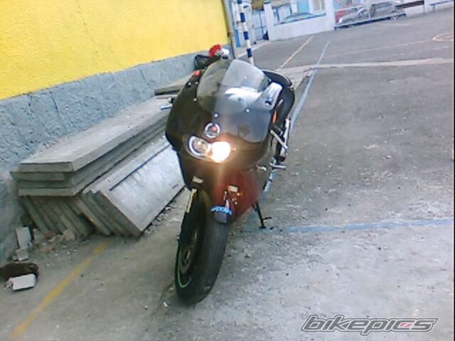 Photo 1555135