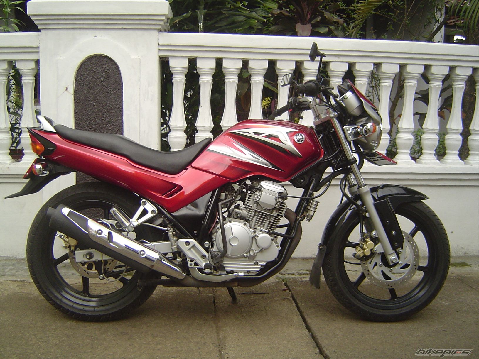 Bike Photo 1555188