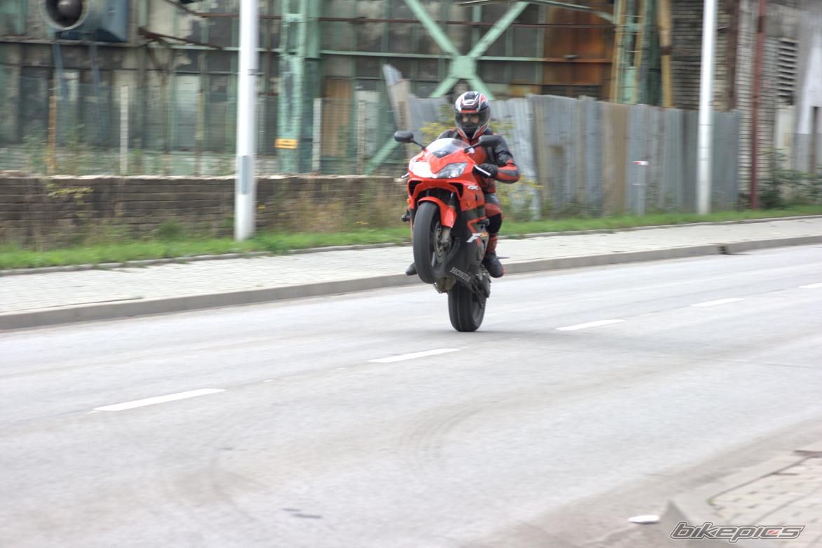Photo 1555193