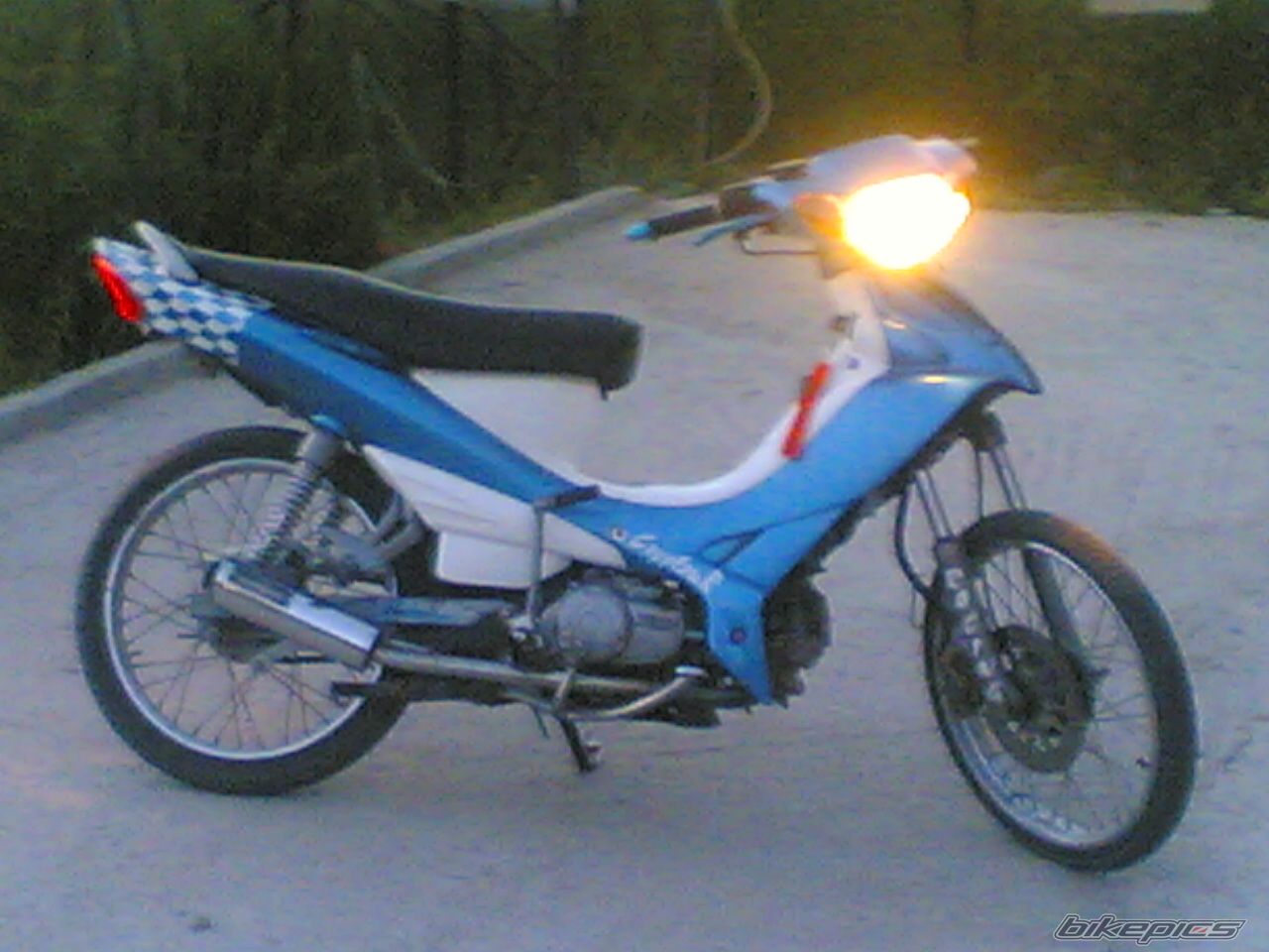 Photo 1555201