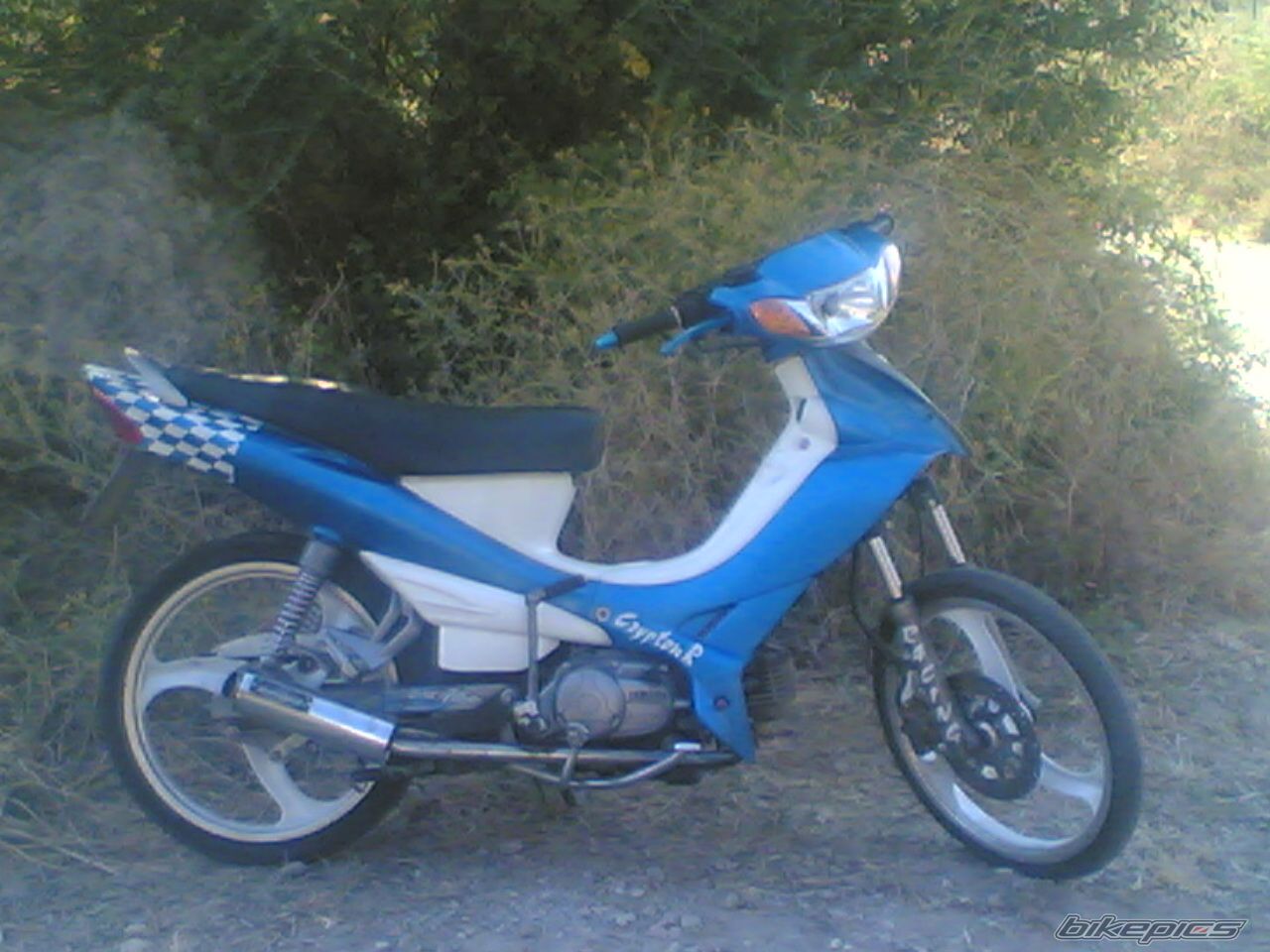 Photo 1555204