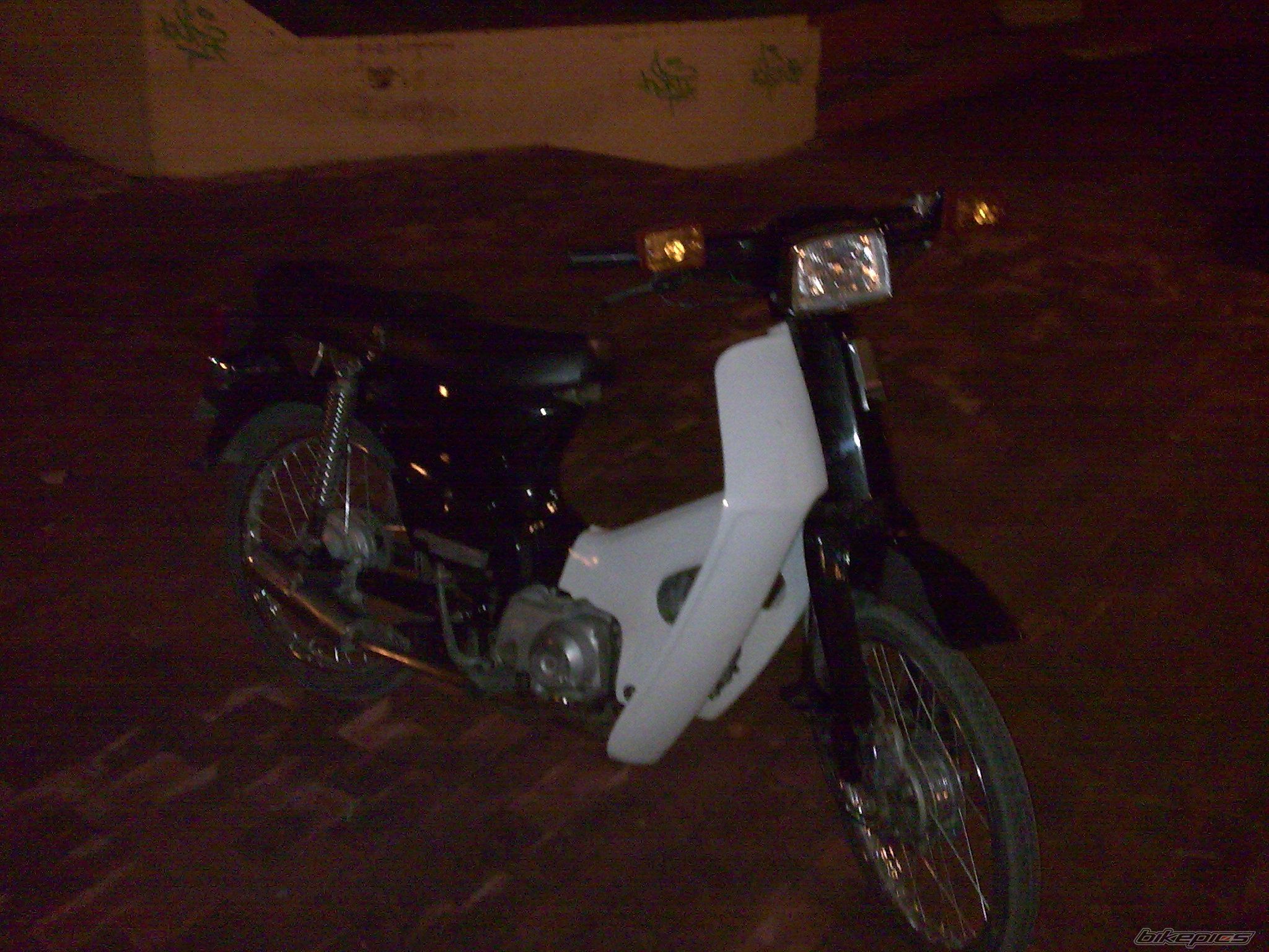 Photo 1555242