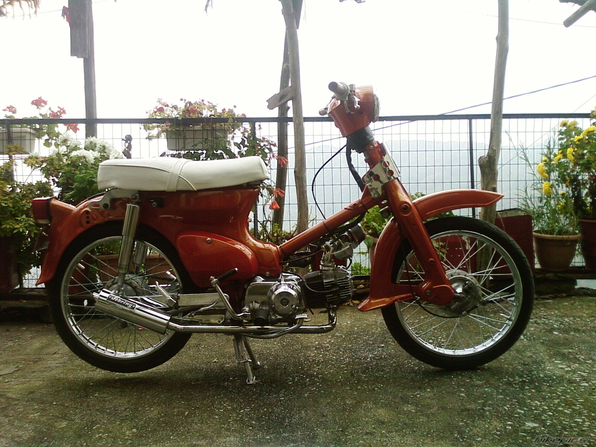 Photo 1555266