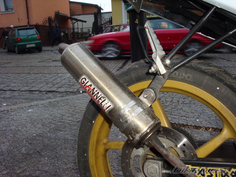 Photo 1555280