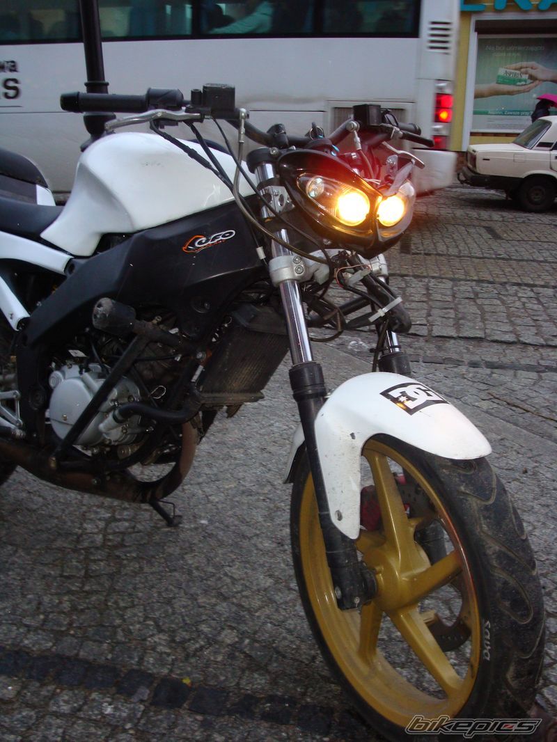 Photo 1555291