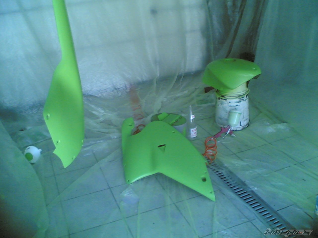 Photo 1555304
