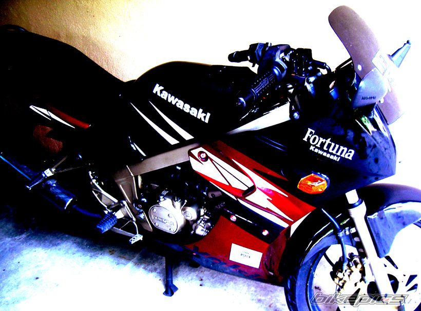 Photo 1555307