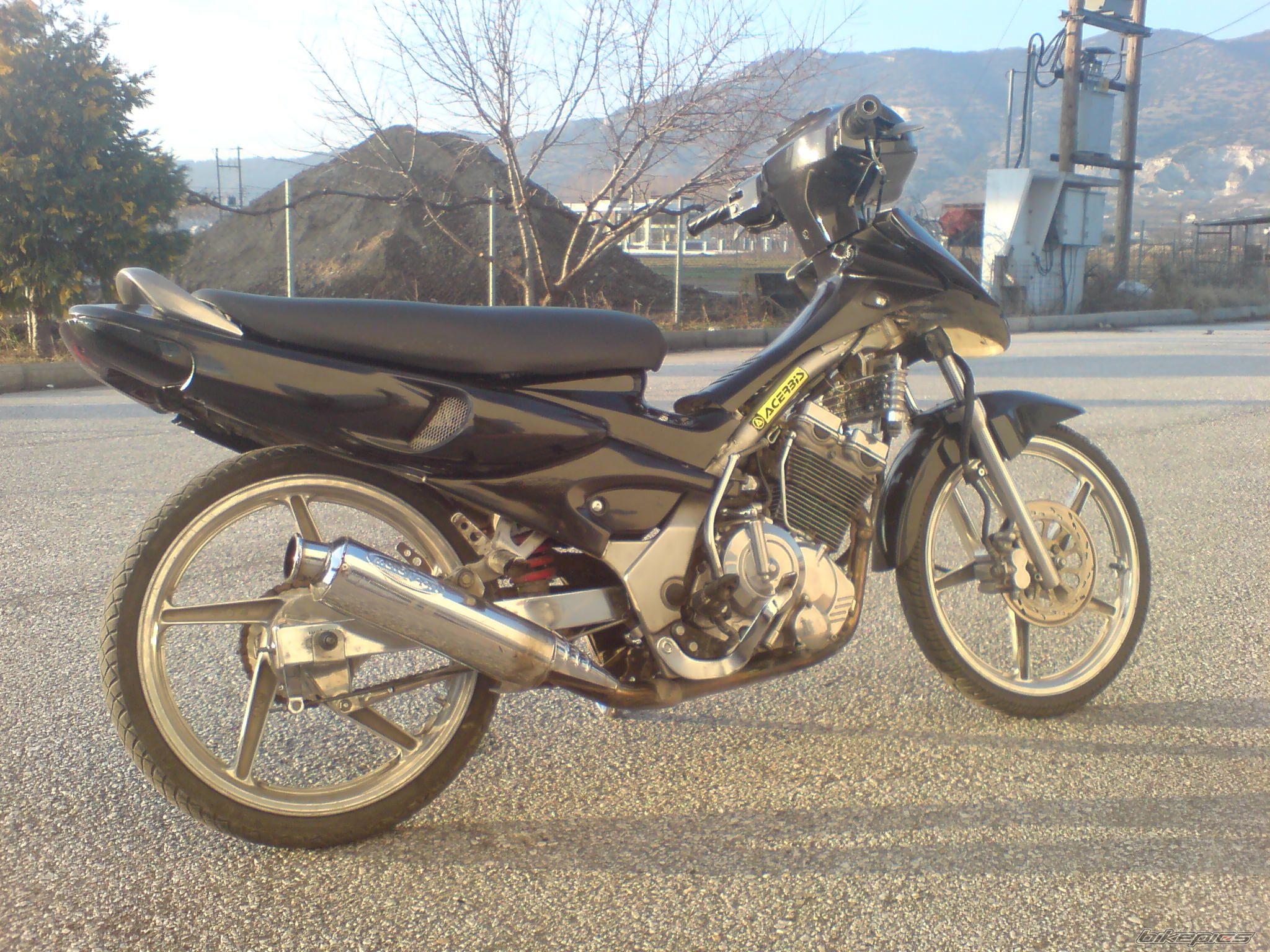Photo 1555328