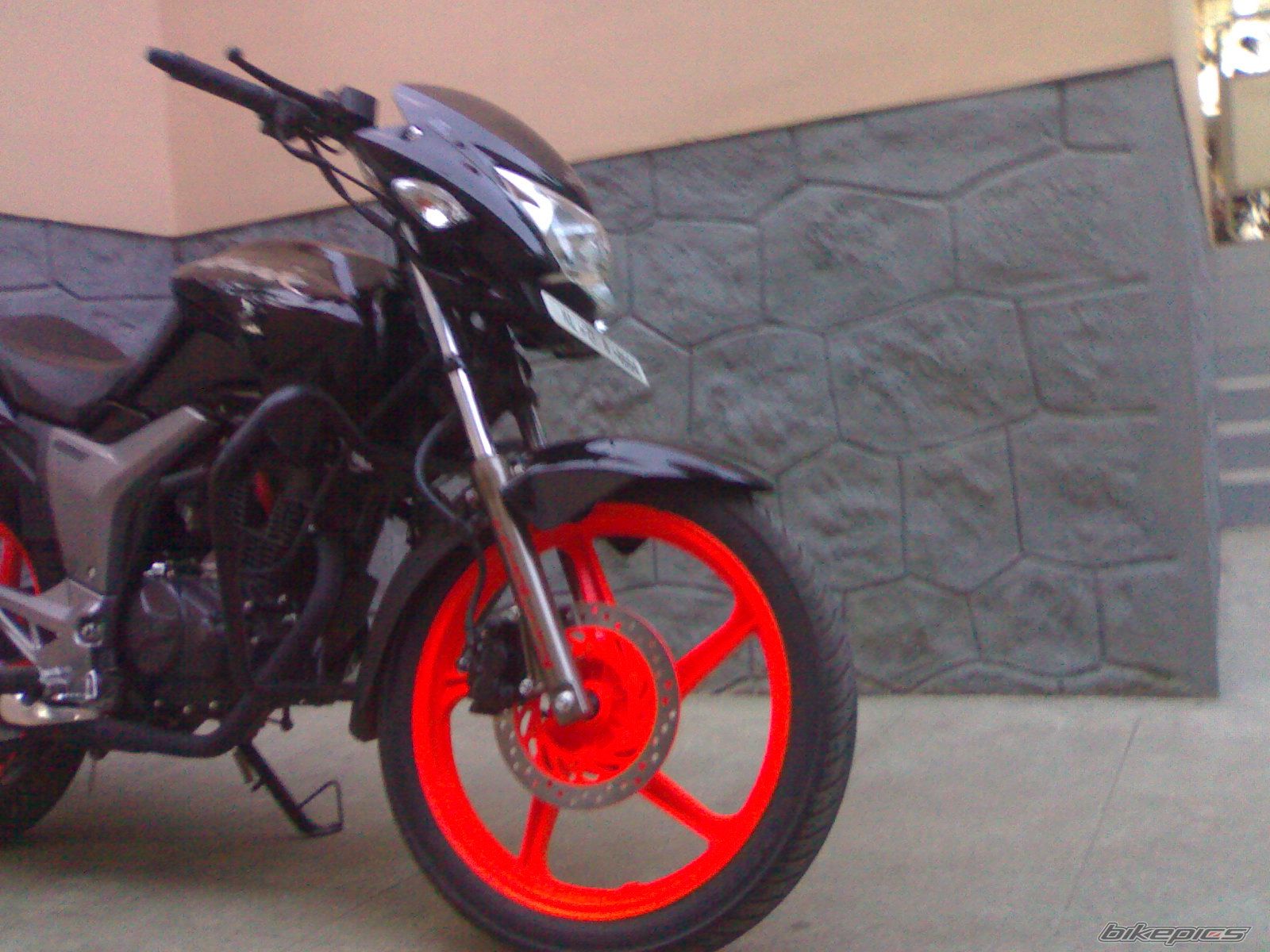 Photo 1555341