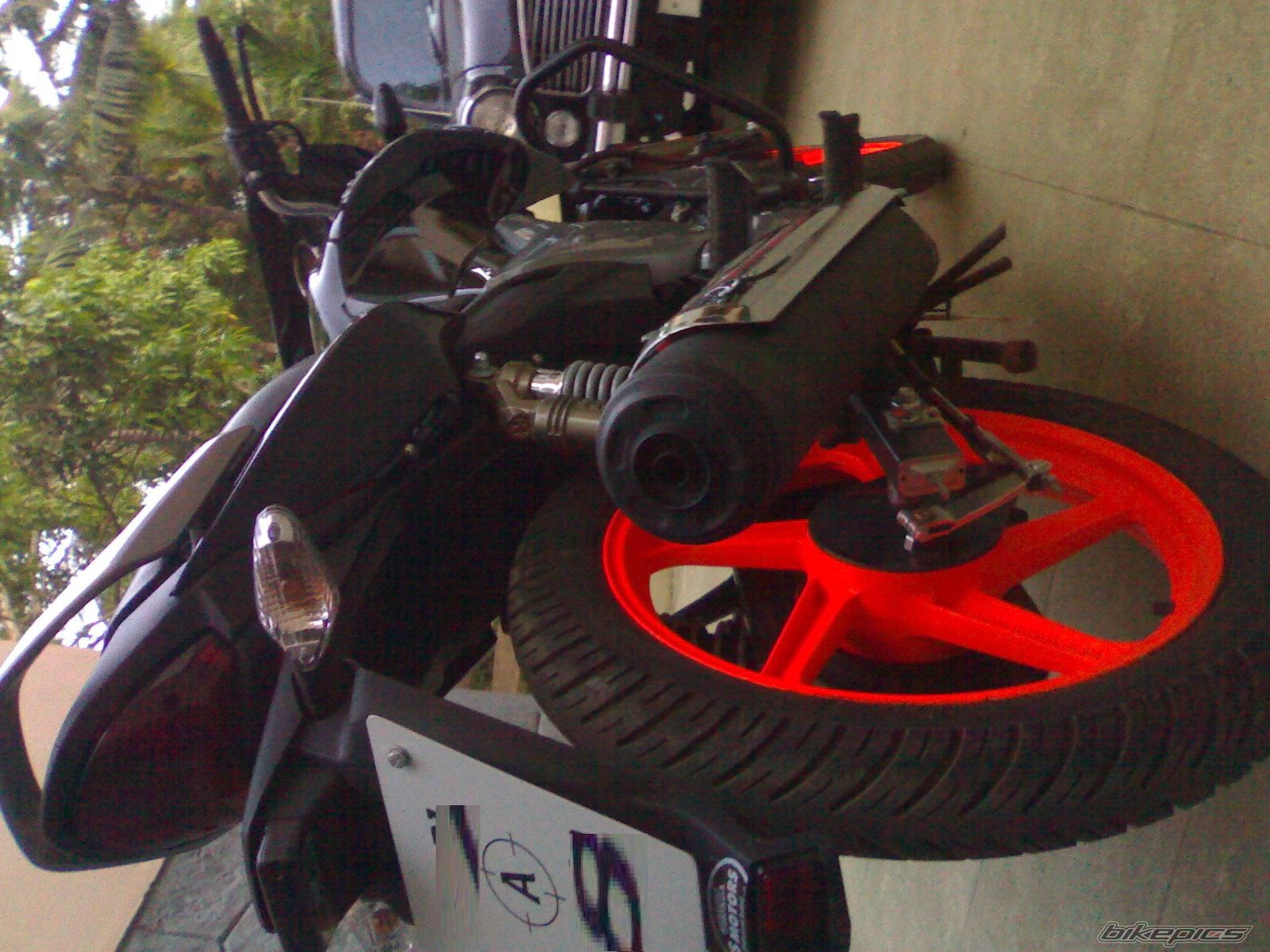 Photo 1555343