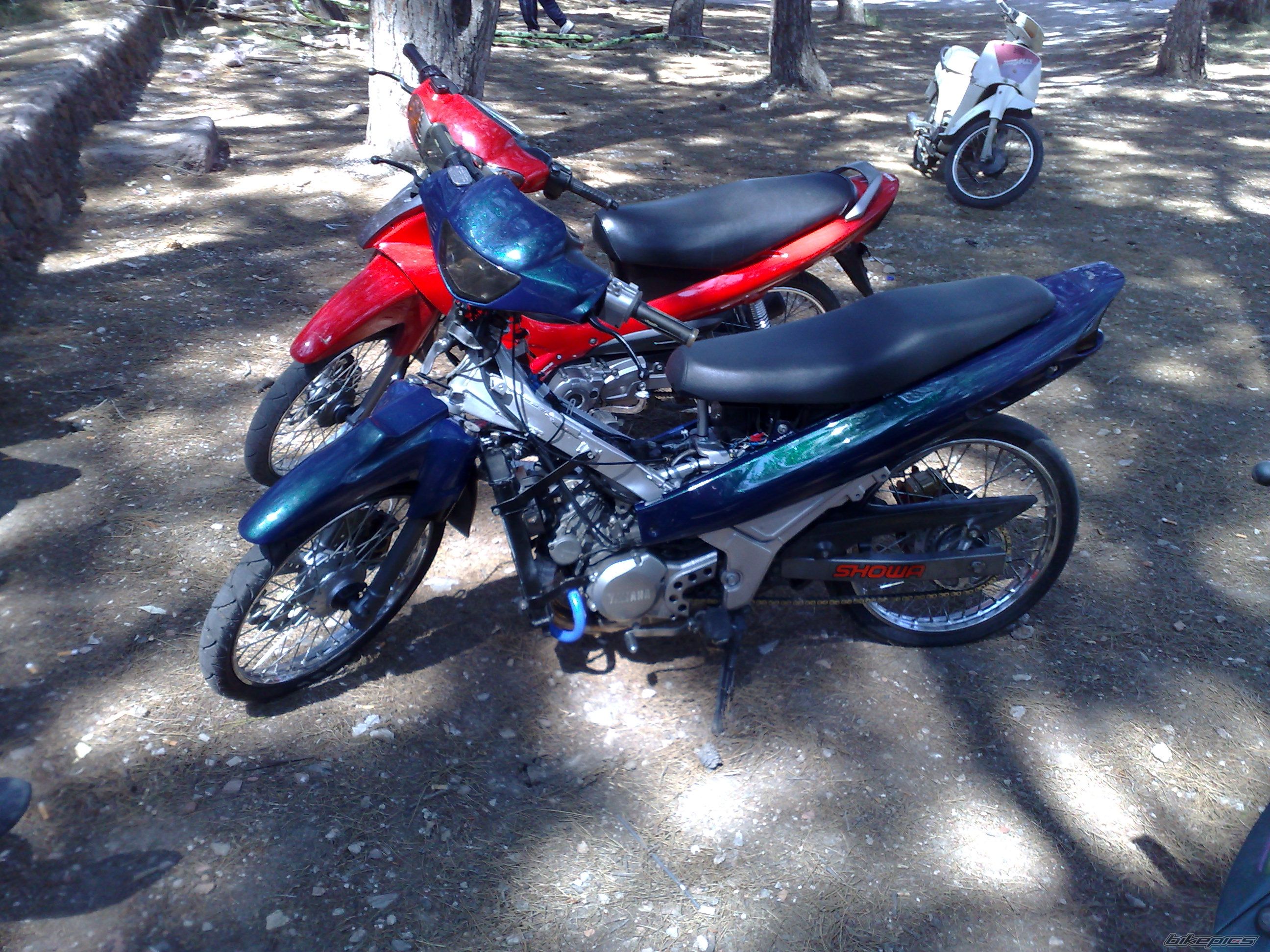 Photo 1555345