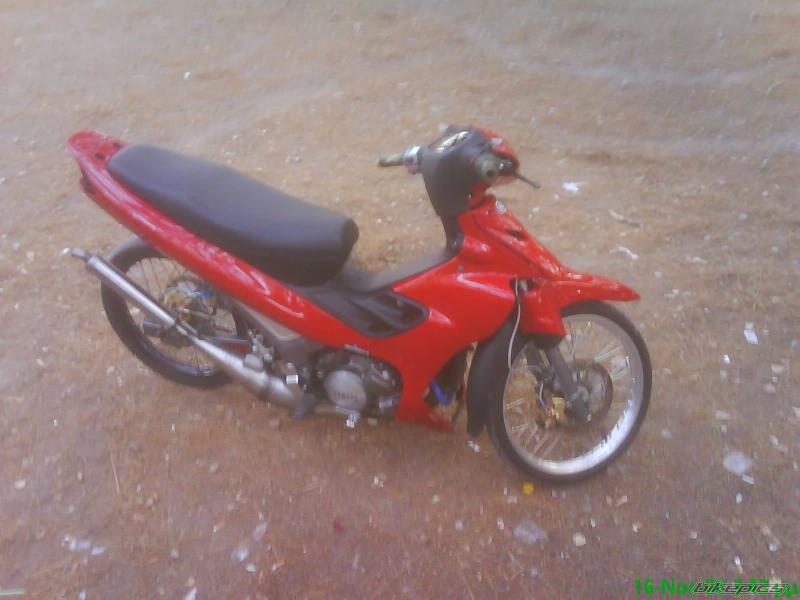 Photo 1555349