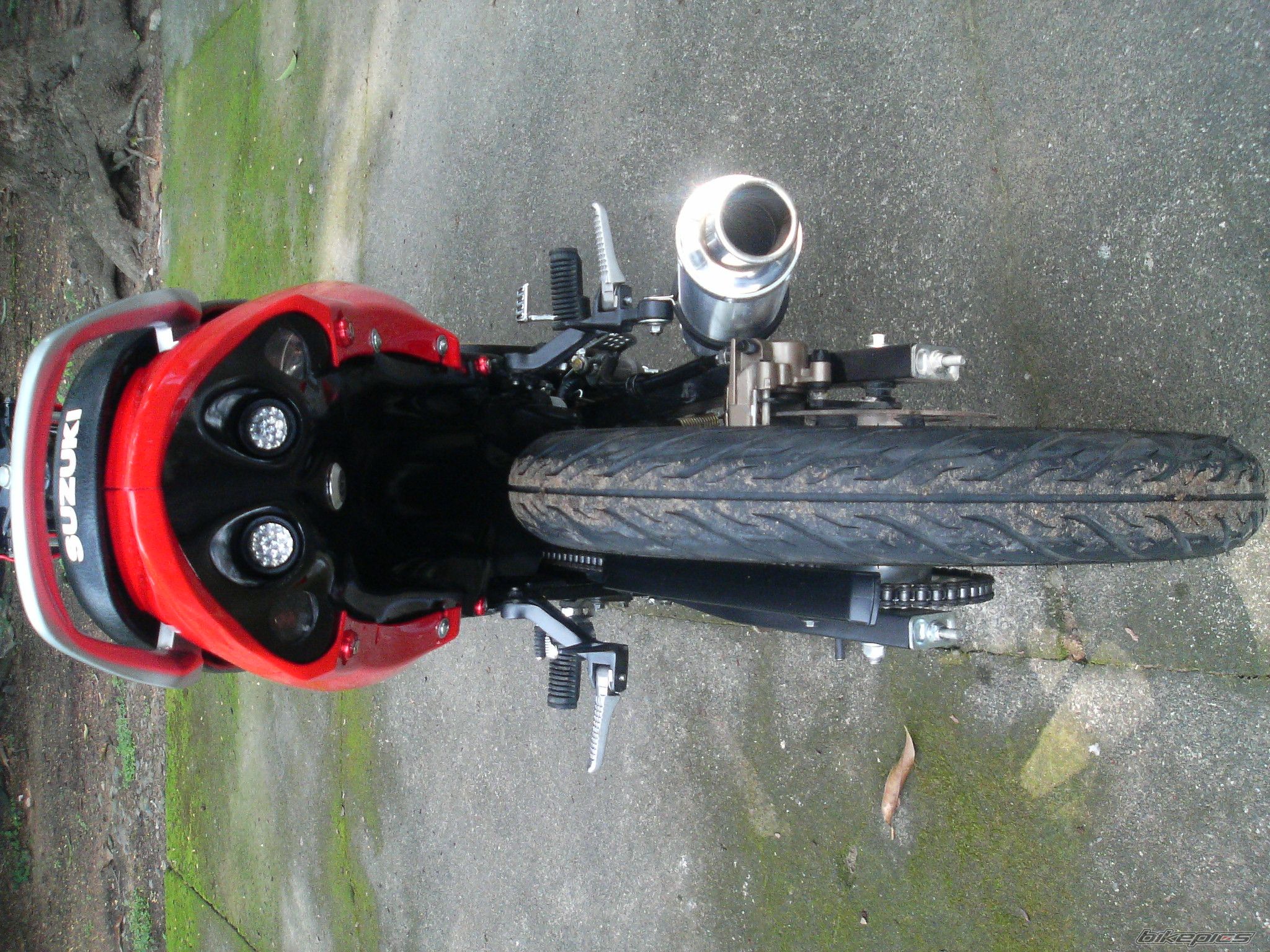 Photo 1555356