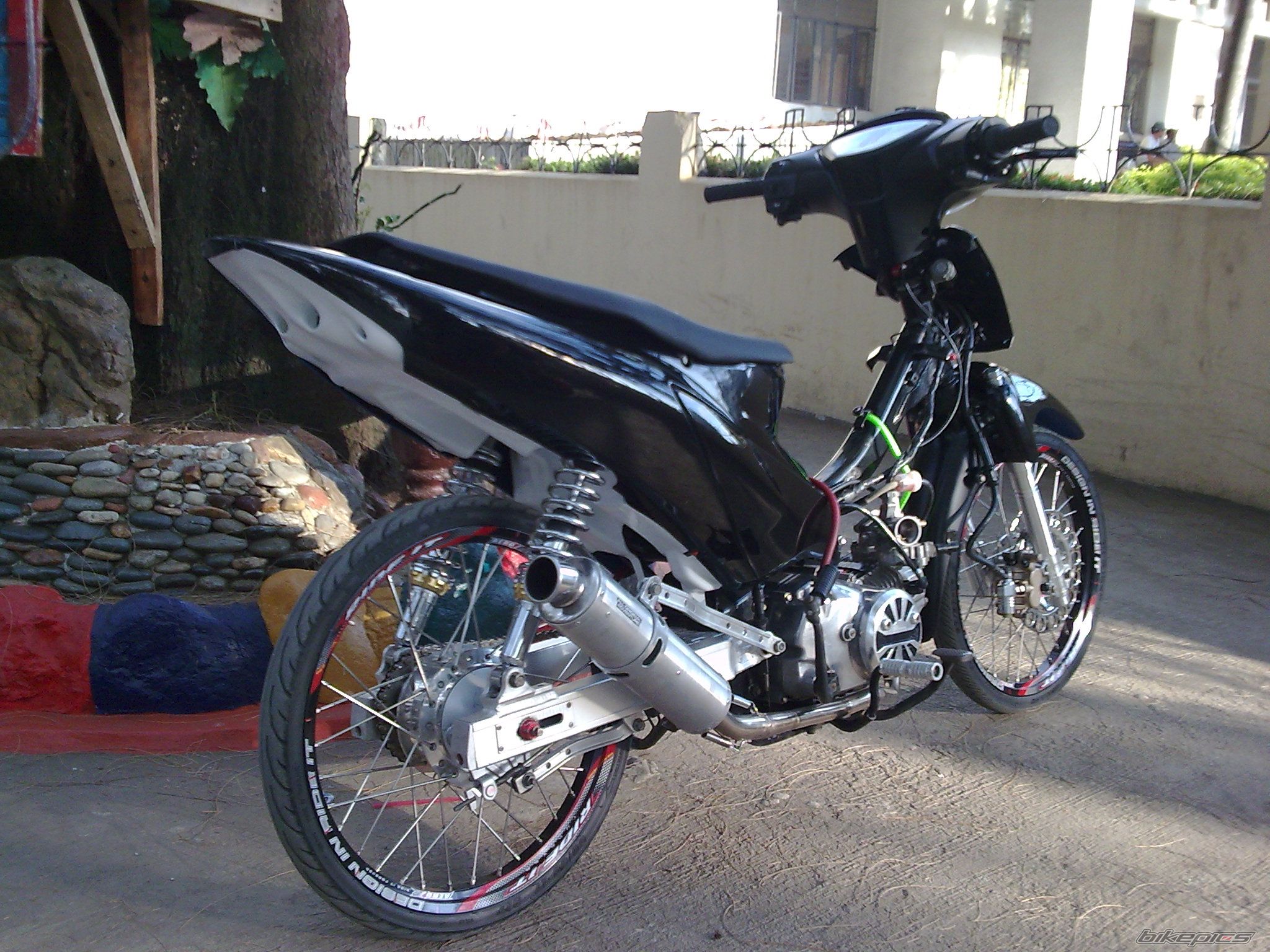 Photo 1555367