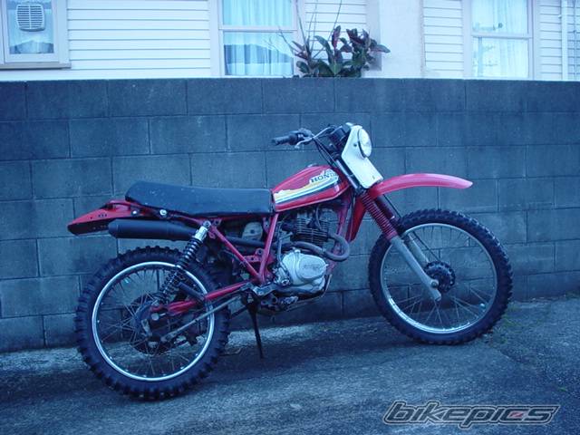 Photo 155537
