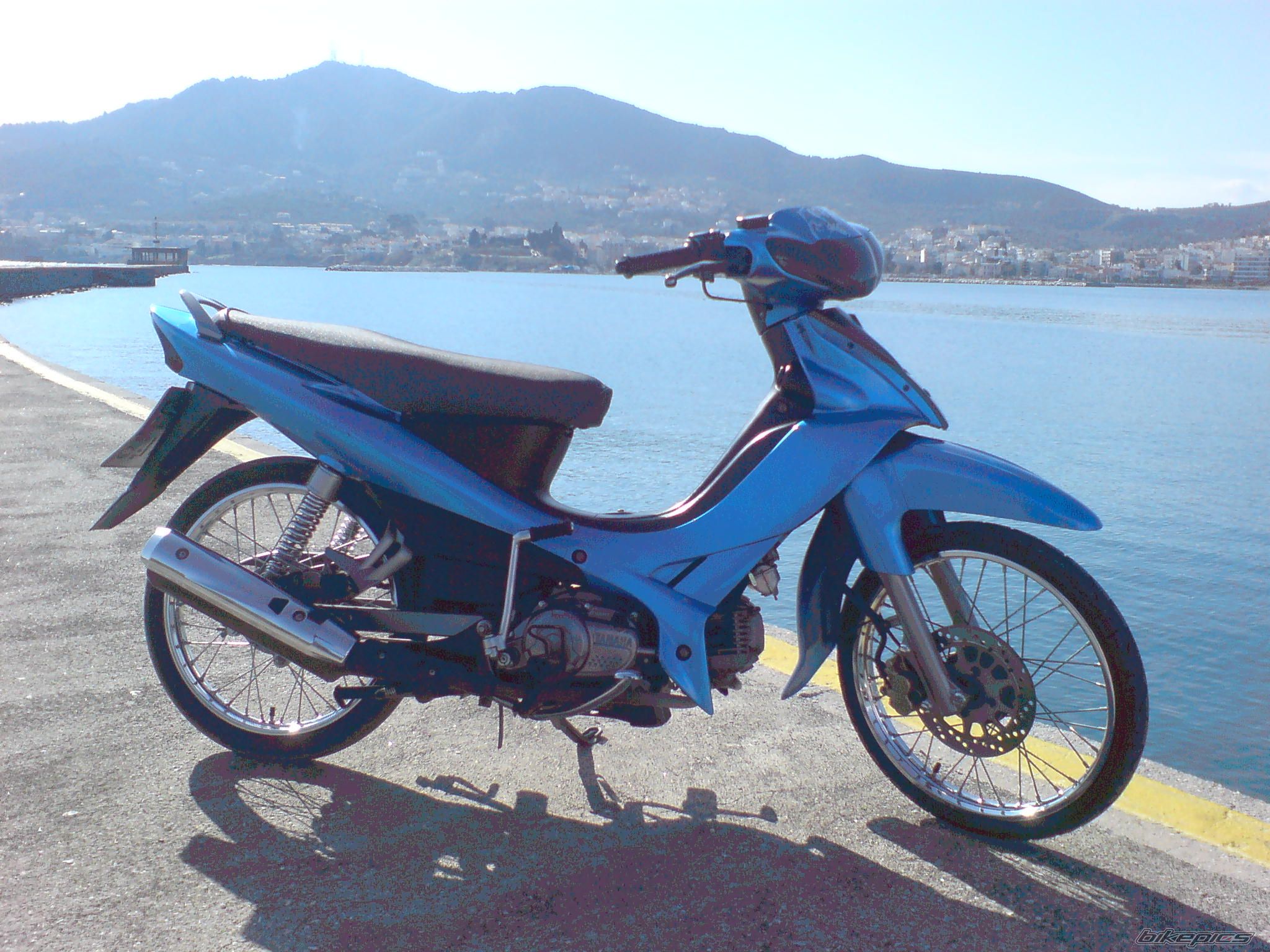 Photo 1555386