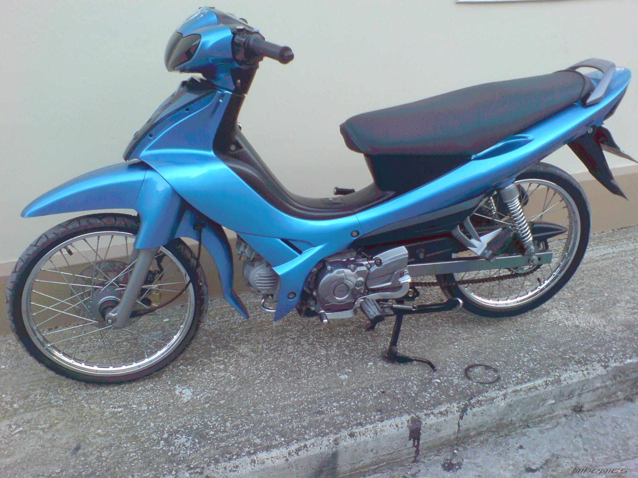 Photo 1555393