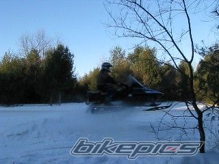 Photo 1555422