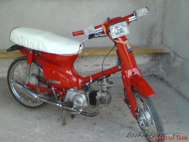 Photo 1555426