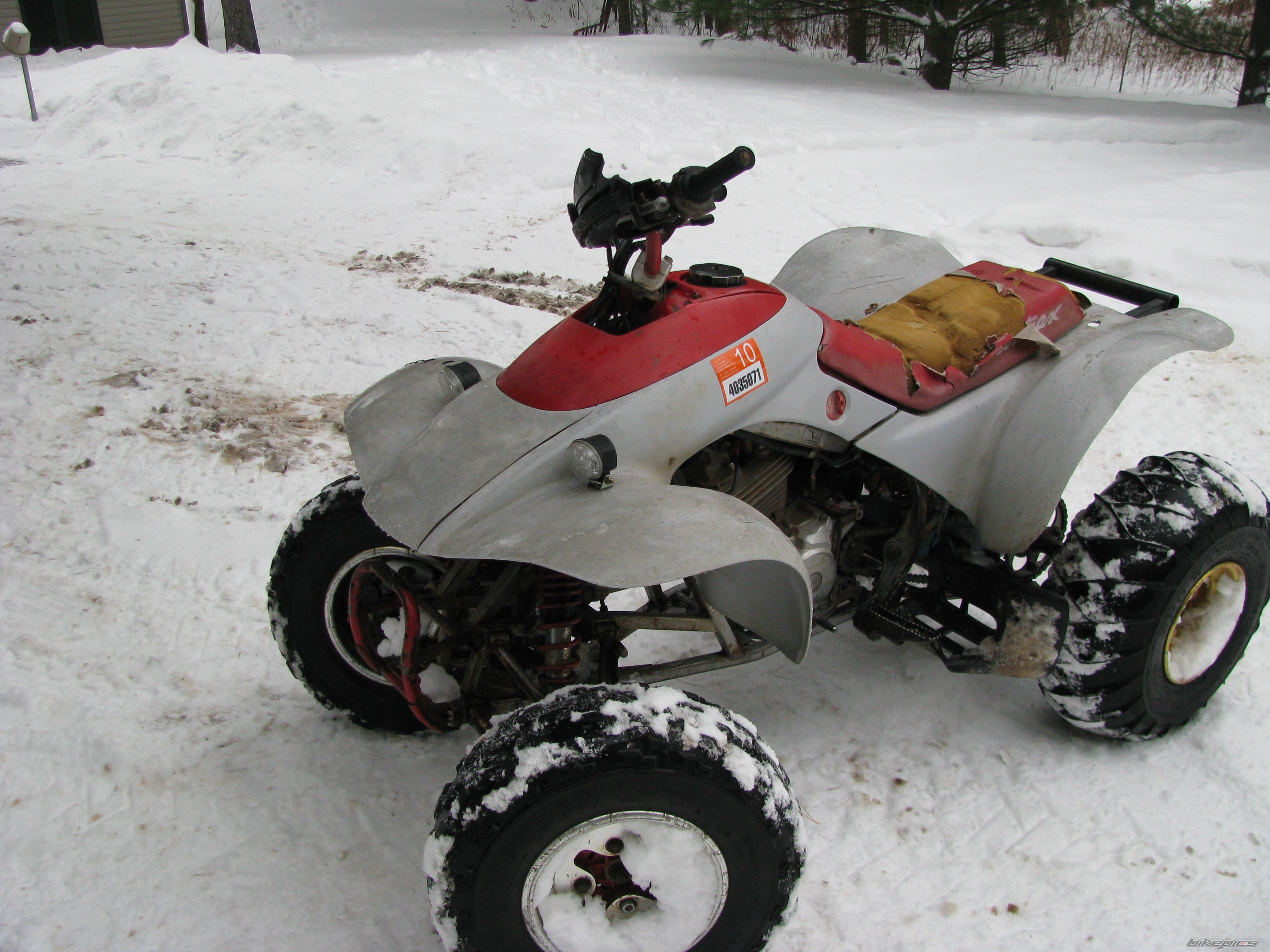 Photo 1555439