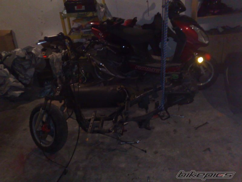 Photo 1555485