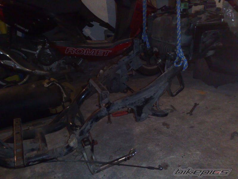 Photo 1555487