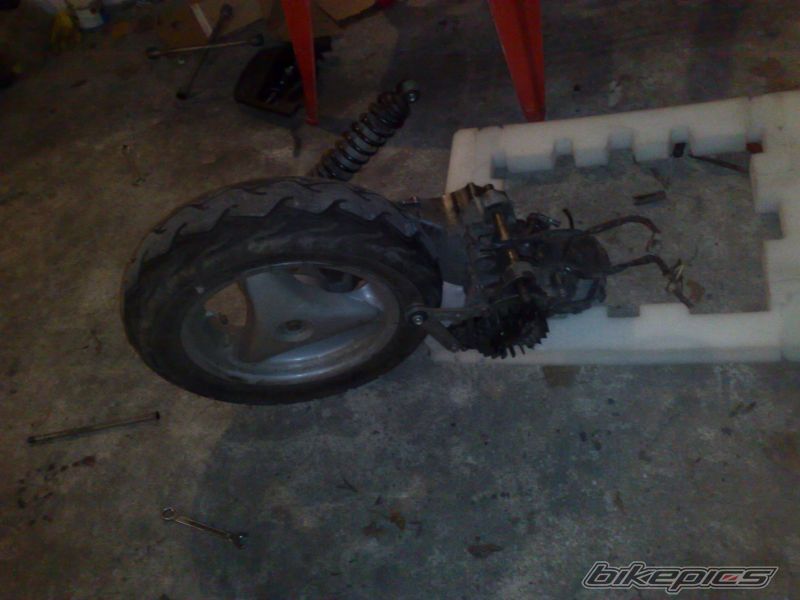 Photo 1555488