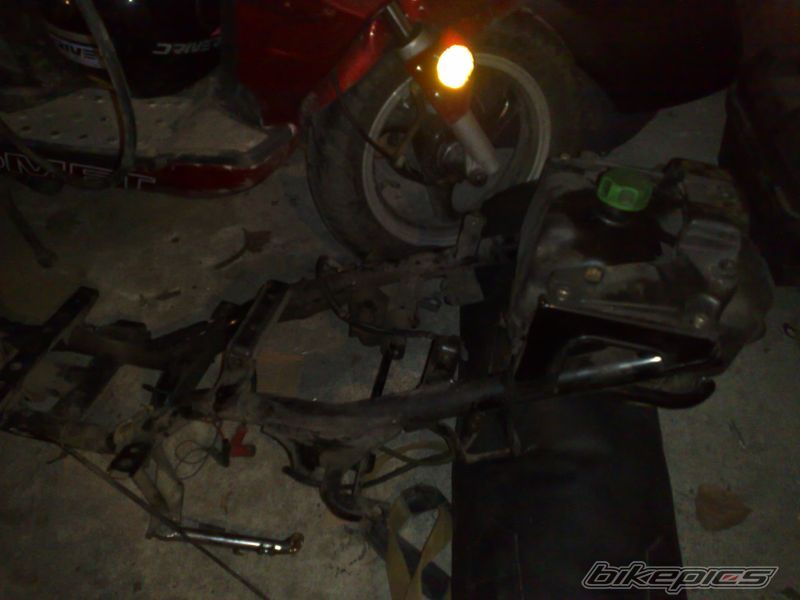 Photo 1555494