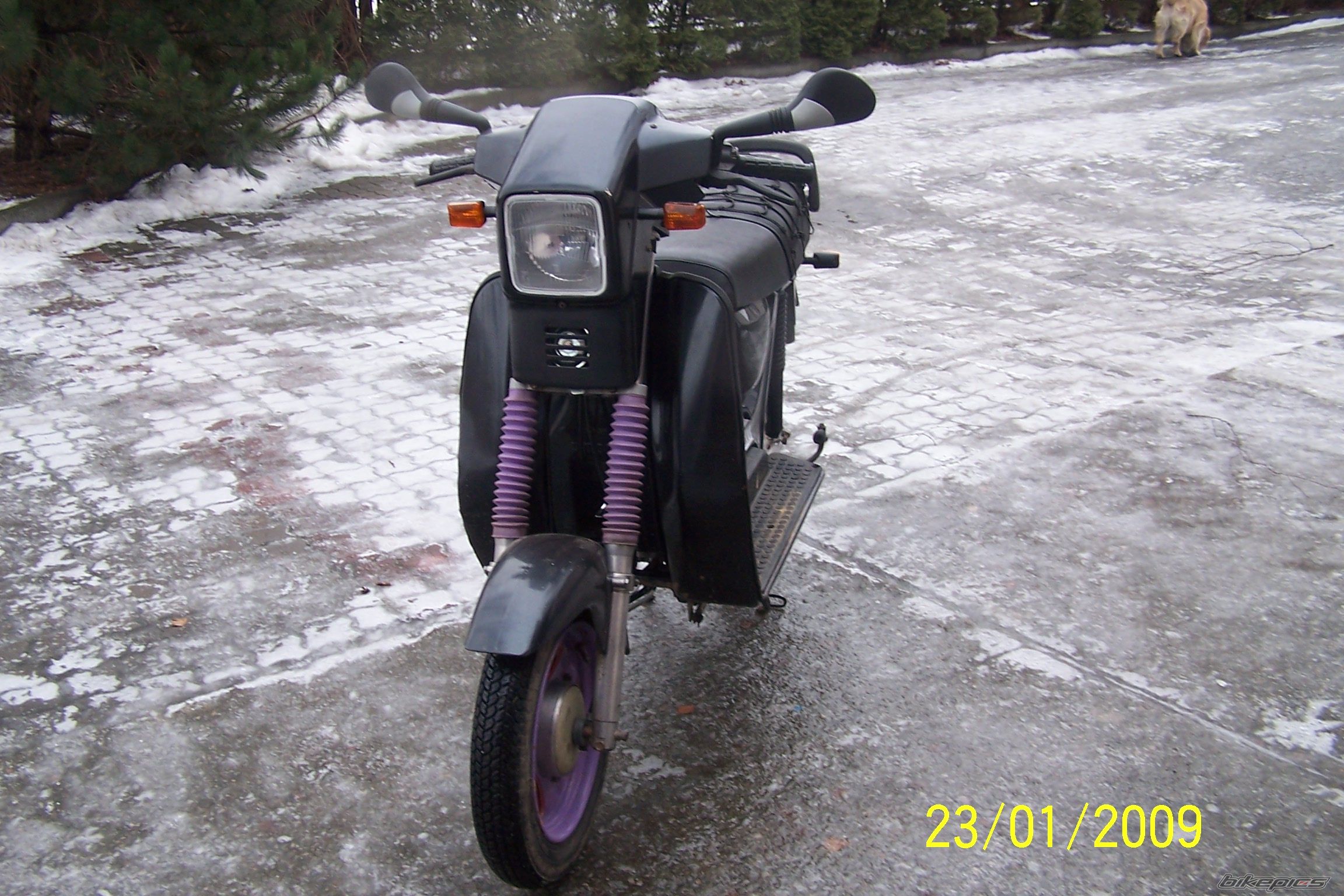 Photo 1555524