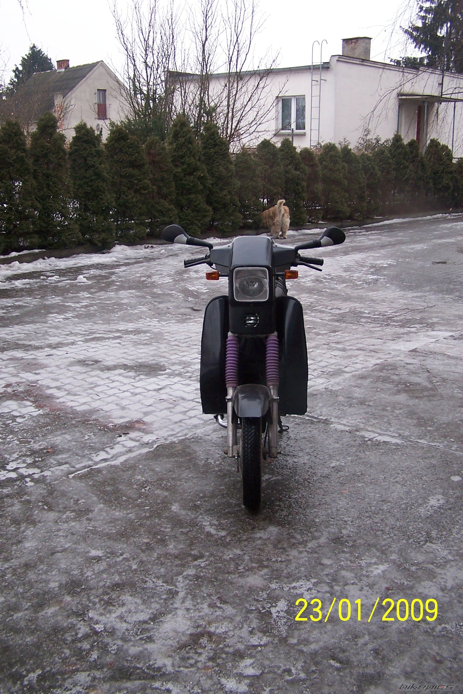Photo 1555532