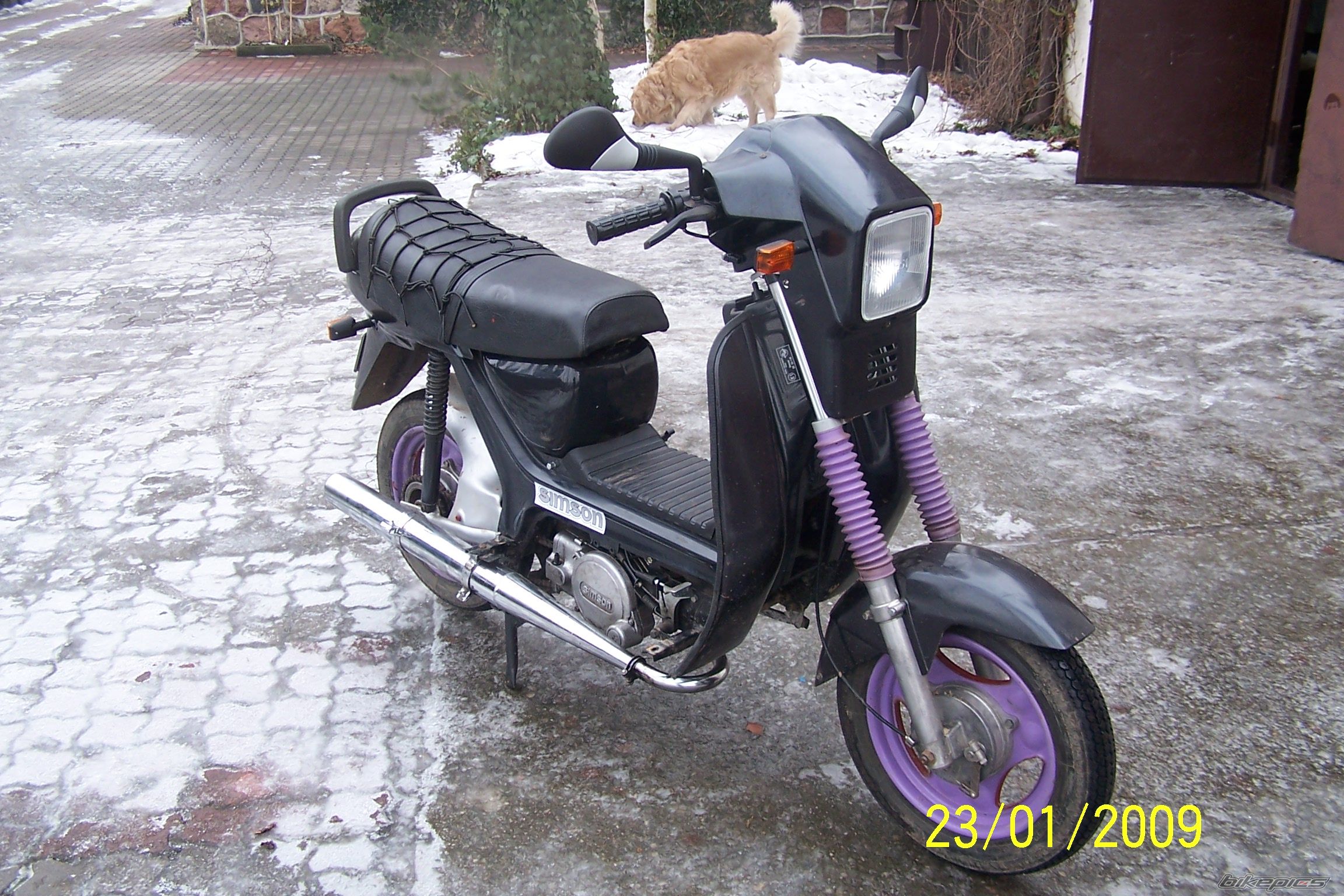 Photo 1555537
