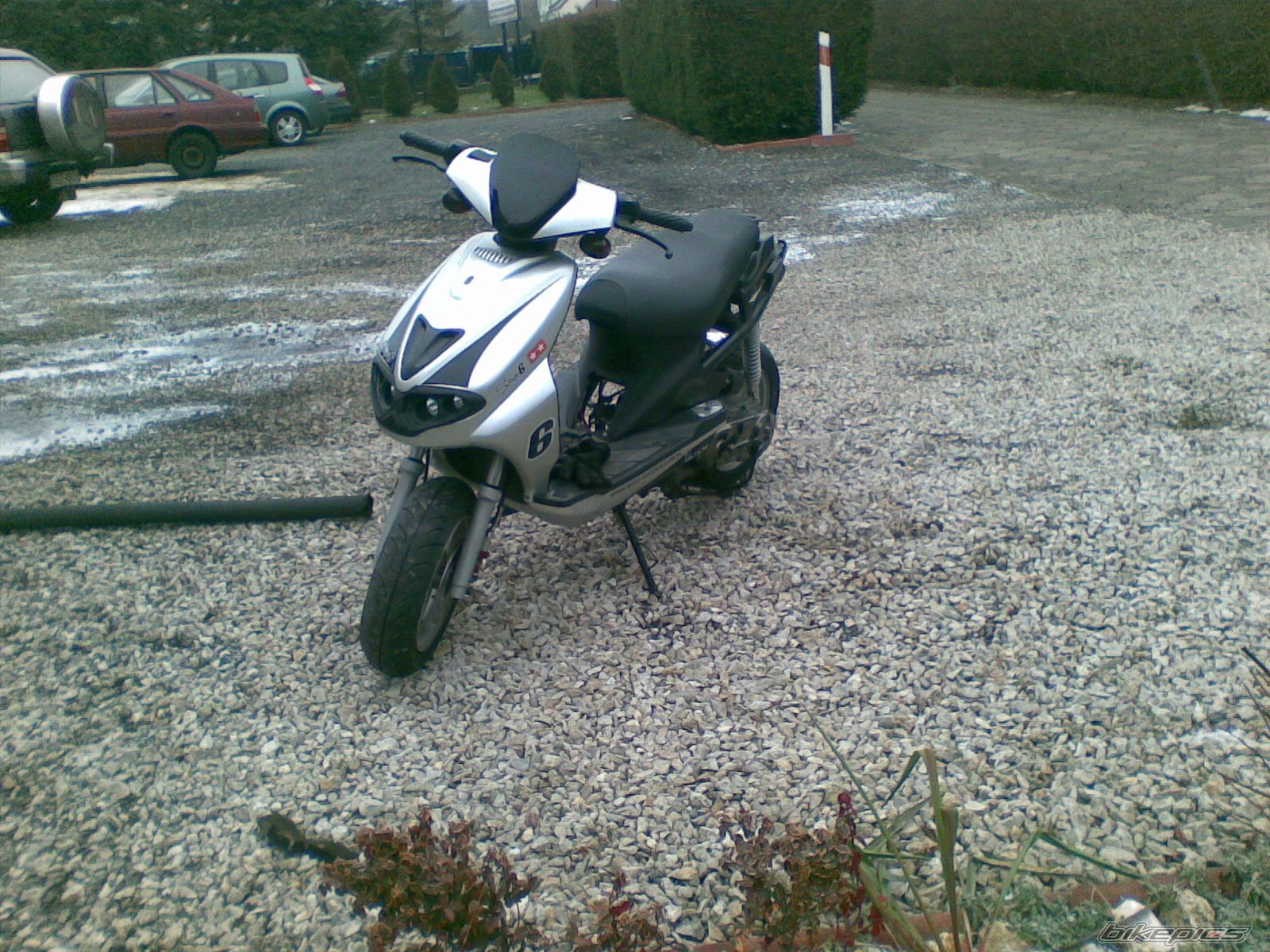 Photo 1555545