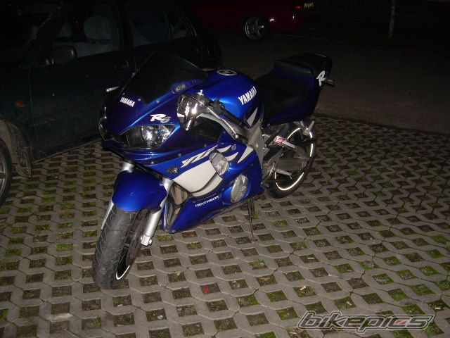 Photo 1555606