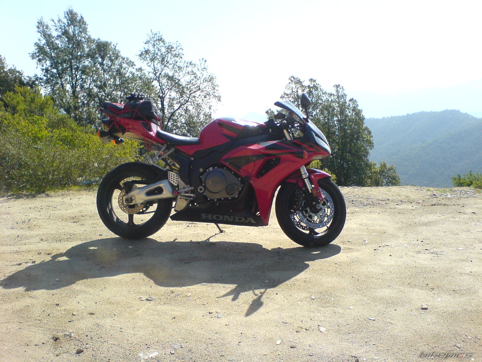 Photo 1555607