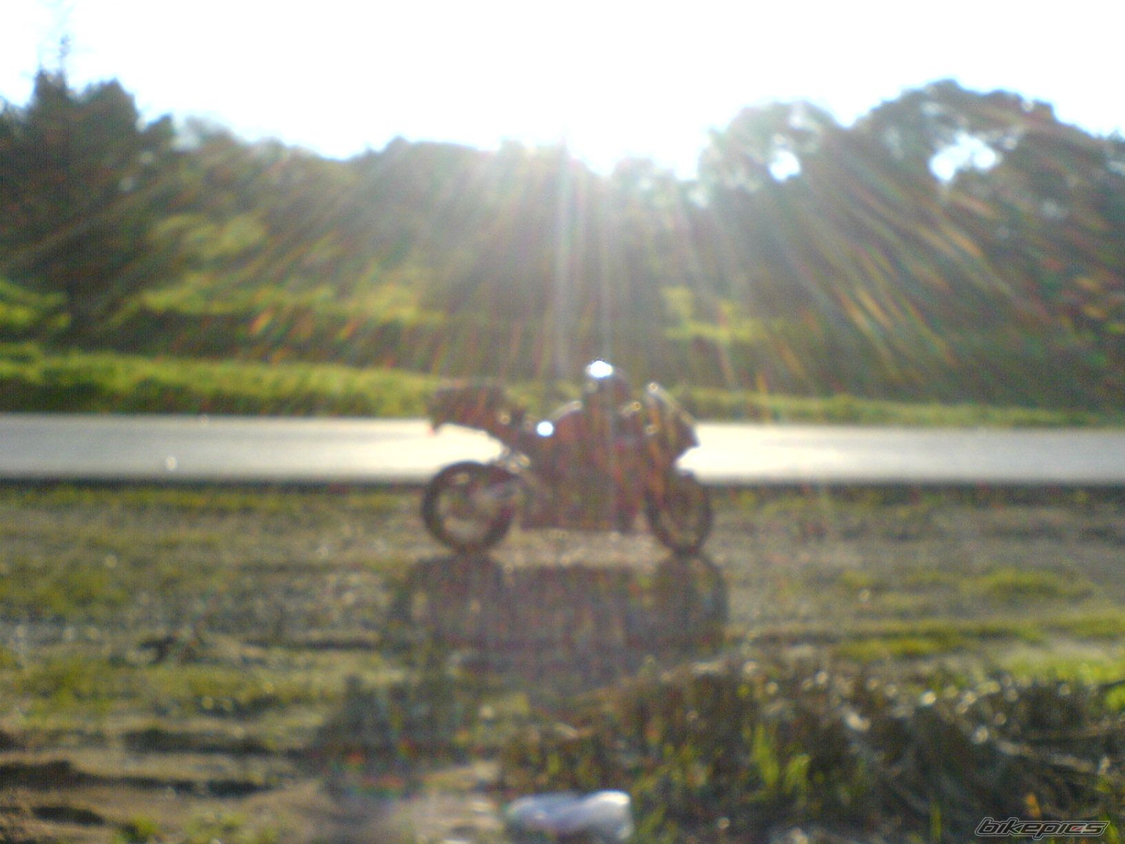 Photo 1555608