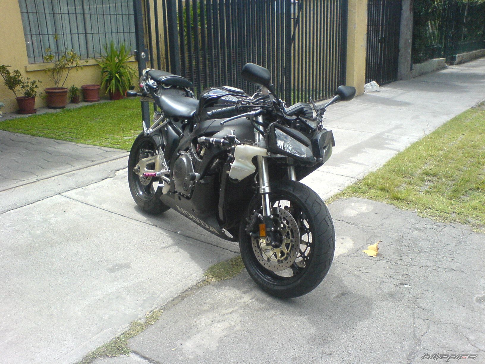 Photo 1555611
