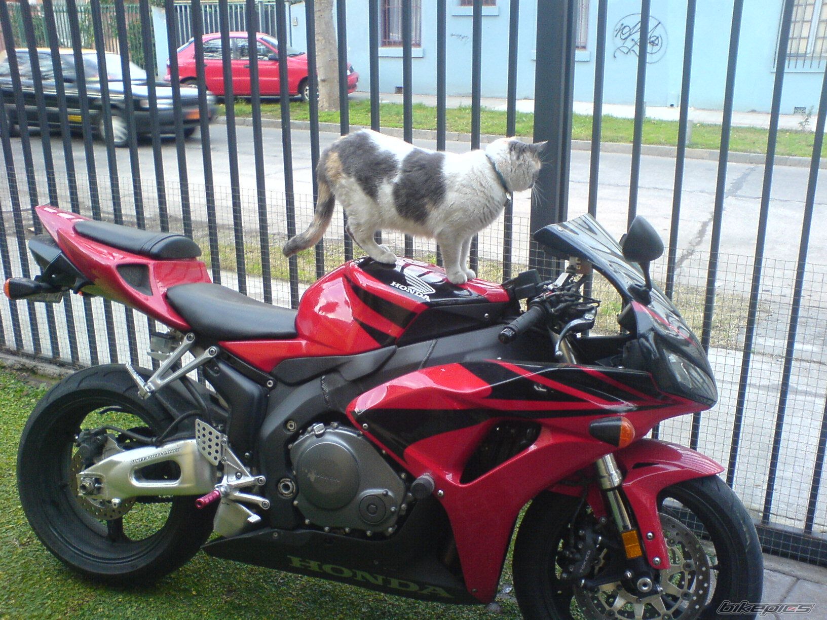 Photo 1555615