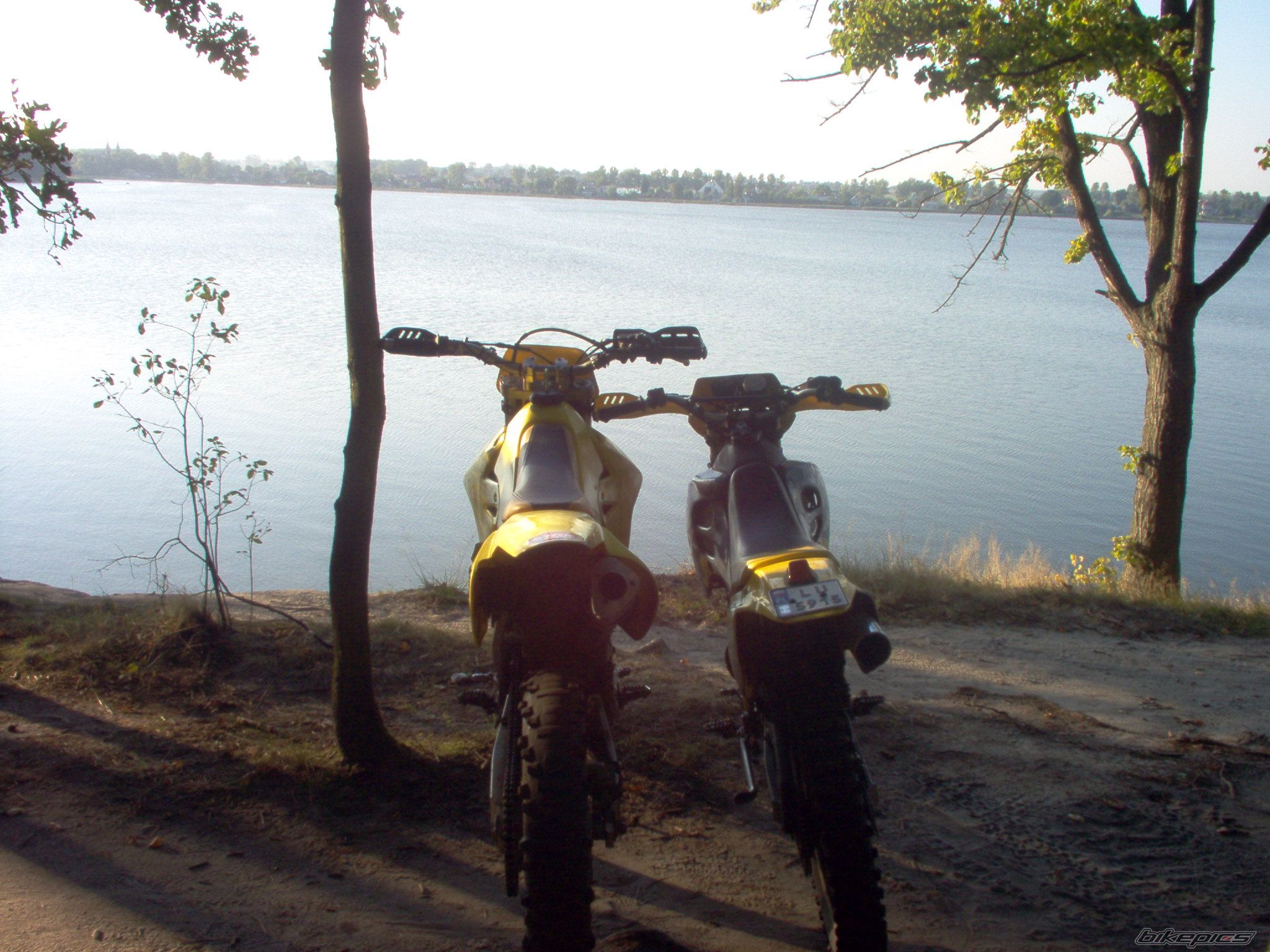 Photo 1555627