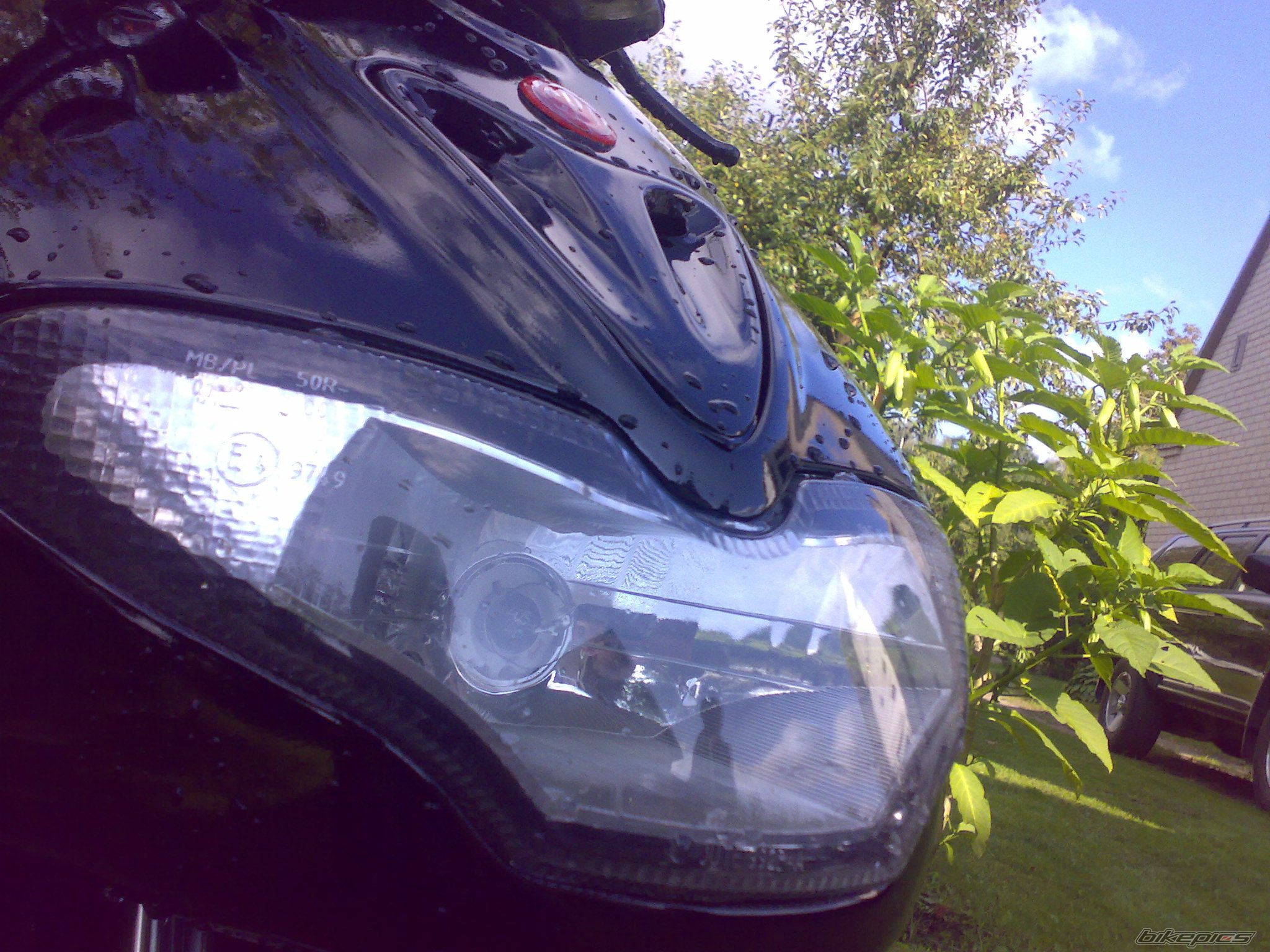 Photo 1555654