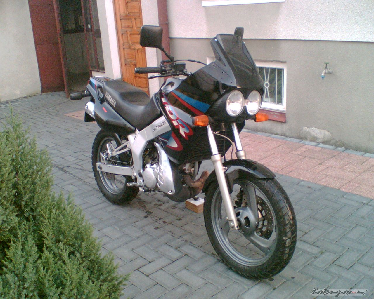 Photo 1555675