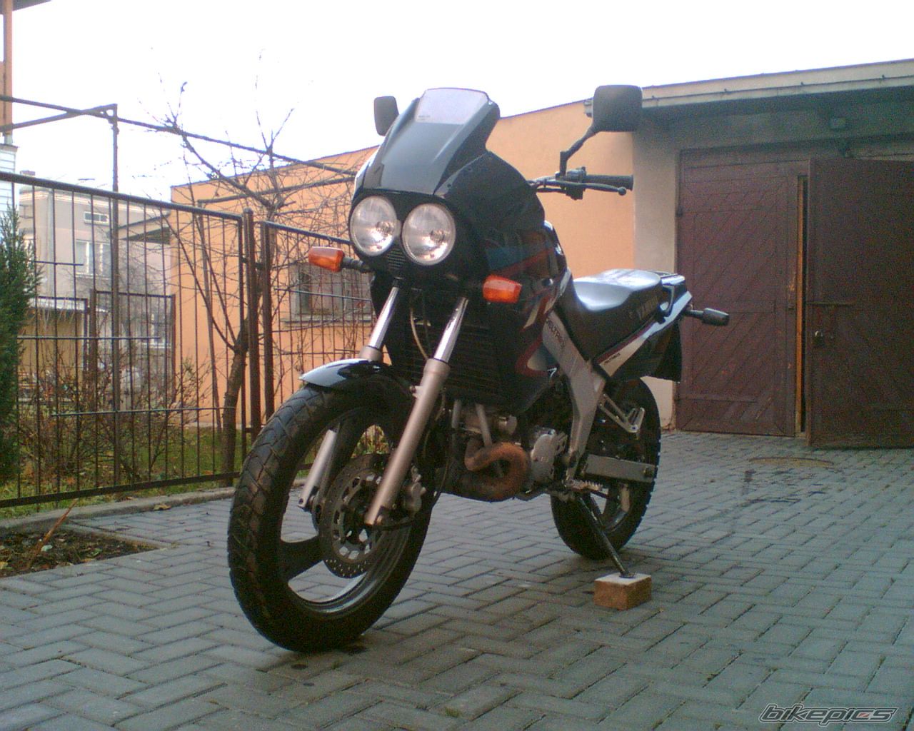 Photo 1555682